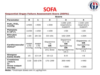 SOFA
8
 