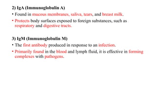 2) IgA (Immunoglobulin A)
• Found in mucous membranes, saliva, tears, and breast milk.
• Protects body surfaces exposed to foreign substances, such as
respiratory and digestive tracts.
3) IgM (Immunoglobulin M)
• The first antibody produced in response to an infection.
• Primarily found in the blood and lymph fluid, it is effective in forming
complexes with pathogens.
 