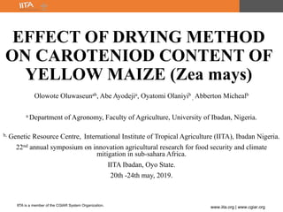 IITA is a member of the CGIAR System Organization.
www.iita.org | www.cgiar.org
EFFECT OF DRYING METHOD
ON CAROTENIOD CONTENT OF
YELLOW MAIZE (Zea mays)
Olowote Oluwaseunab, Abe Ayodejia, Oyatomi Olaniyib
, Abberton Michealb
a Department of Agronomy, Faculty of Agriculture, University of Ibadan, Nigeria.
b, Genetic Resource Centre, International Institute of Tropical Agriculture (IITA), Ibadan Nigeria.
22nd annual symposium on innovation agricultural research for food security and climate
mitigation in sub-sahara Africa.
IITA Ibadan, Oyo State.
20th -24th may, 2019.
 