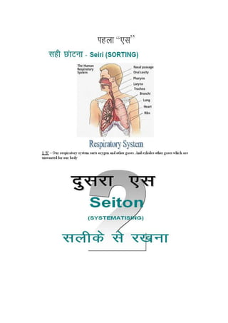 5s hindi 2 presentation