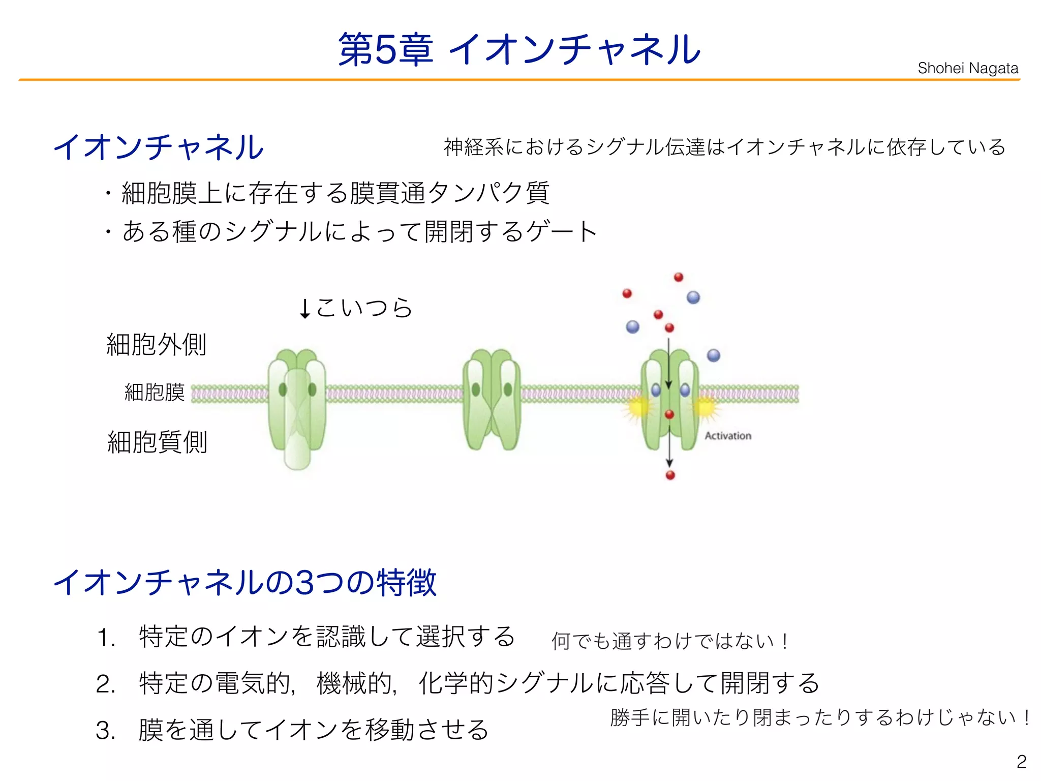カンデル神経科学輪読会] 第5章 イオンチャネル | PDF