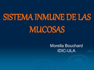SISTEMA INMUNE DE LAS
MUCOSAS
Morella Bouchard
IDIC-ULA
 