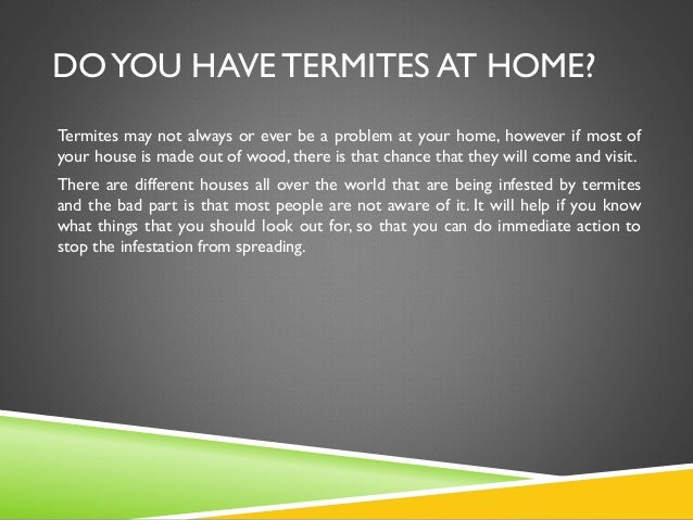 How do you recognize the signs of termites?