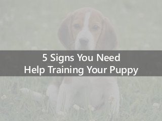 5 Signs You Need
Help Training Your Puppy
 
