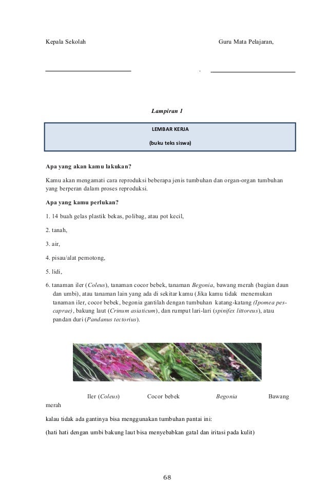 5 silabus smp kelas 7, 8 dan 9 edisi revisi 2017 mata