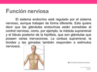 Función nerviosa
El sistema endocrino está regulado por el sistema
nervioso, aunque trabajen de forma diferente. Esto quiere
decir que las glándulas endocrinas están sometidas al
control nervioso, como, por ejemplo, la médula suprarrenal
y el lóbulo posterior de la hipófisis, que son glándulas que
poseen varias inervaciones. La corteza suprarrenal, la
tiroides y las gónadas también responden a estímulos
nerviosos.
 