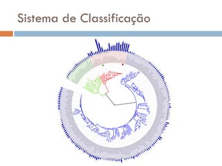 Sistema de Classificação
 