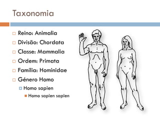 Taxonomia
   Reino: Animalia
   Divisão: Chordata
   Classe: Mammalia
   Ordem: Primata
   Família: Hominidae
   Género Homo
     Homo   sapien
       Homo   sapien sapien
 