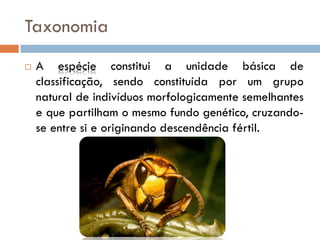 Taxonomia
   A espécie constitui a unidade básica de
    classificação, sendo constituída por um grupo
    natural de indivíduos morfologicamente semelhantes
    e que partilham o mesmo fundo genético, cruzando-
    se entre si e originando descendência fértil.
 
