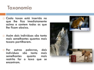 Taxonomia
   Cada taxon está inserido no
    que lhe fica imediatamente
    acima e contem todos os que
    lhe ficam abaixo.

   Assim dois indivíduos são tanto
    mais semelhantes quantos mais
    taxons partilharem.

   Por outras palavras, dois
    indivíduos são tanto mais
    semelhantes    quanto  mais
    restrito for o taxa que se
    encontram.
 