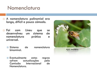 Nomenclatura
   A nomenclatura polinomial era
    longo, difícil e pouco cómodo.

   Foi com Lineu que                 se
    desenvolveu um sistema            de
    nomenclatura  prático              e
    universal.

       Sistema      de     nomenclatura
        binominal.                          Apis melifera


       Eventualmente     estas    regras
        sofrem    actualizações      pela
        Comissão     Internacional    de
        Nomenclatura.
 