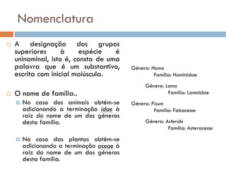 Nomenclatura
   A designação dos grupos
    superiores      à     espécie   é
    uninominal, isto é, consta de uma
    palavra que é um substantivo,          Género: Homo
    escrita com inicial maiúscula.                  Família: Hominidae
                                                Género: Lama
   O nome de família..                                  Família: Lamnidae
       No caso dos animais obtém-se       Género: Pisum
        adicionando a terminação idae à             Família: Fabaceae
        raiz do nome de um dos géneros
        desta família.                          Género: Asteride
                                                         Família: Asteraceae

       No caso das plantas obtém-se
        adicionando a terminação aceae à
        raiz do nome de um dos géneros
        desta família.
 