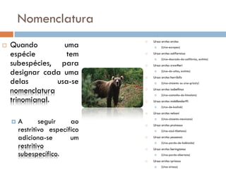 Nomenclatura
                                    Ursus arctos arctos
    Quando         uma
                                

                                        (Urso-europeu)

    espécie         tem            Ursus arctos californicus
                                          (Urso-dourado-da-califórnia, extinto)
    subespécies, para
                                    

                                   Ursus arctos crowtheri

    designar cada uma           
                                         (Urso-do-atlas, extinto)

                                    Ursus arctos horribilis
    delas        usa-se                  (Urso-cinzento ou urso-grizzly)

    nomenclatura                   Ursus arctos isabellinus
                                         (Urso-castanho-do-himalaia)
    trinomianal.                   Ursus arctos middlendorffi
                                         (Urso-de-kodiak)

                                   Ursus arctos nelsoni

       A       seguir    ao    
                                         (Urso-cinzento-mexicano)

                                    Ursus arctos pruinosus
        restritivo específico            (Urso-azul-tibetano)

        adiciona-se       um       Ursus arctos yesoensis
                                          (Urso-pardo-de-hokkaido)
        restritivo
                                    

                                   Ursus arctos beringianus
        subespecífico.                   (Urso-pardo-siberiano)

                                   Ursus arctos syriacus
                                         (Urso-siríaco)
 