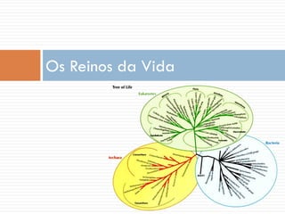 Os Reinos da Vida
 