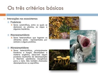 Os três critérios básicos
   Interacções nos ecossistemas
       Produtores
           Seres autotróficos, entre os quais se
            destacam as plantas, as algas e
            algumas bactérias.

       Macroconsumidores
           Seres heterotróficos que ingerem os
            alimentos sendo representados por
            animais e alguns protistas.

       Microconsumidores
           Seres heterotróficos, principalmente
            bactérias e fungos. Decompõem a
            matéria orgânica, absorvem alguns
            produtos resultantes da decomposição
            e libertam substâncias inorgânicas
            para o meio. São também chamados
            decompositores ou saprófitos.
 