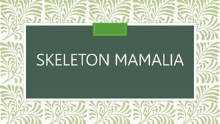SKELETON MAMALIA
 