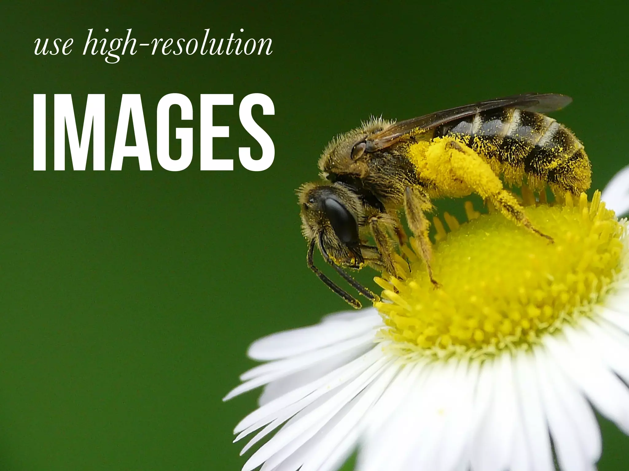 use high-resolution
images
