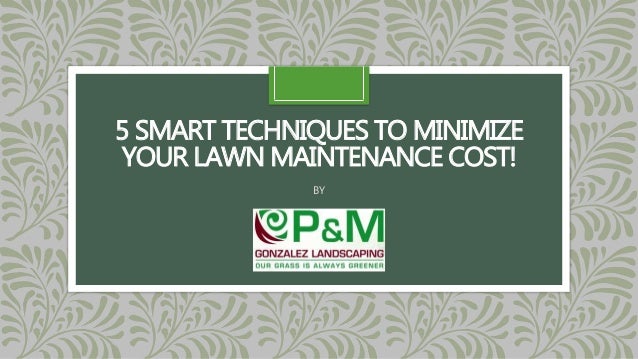 5 smart techniques to minimize your lawn maintenance