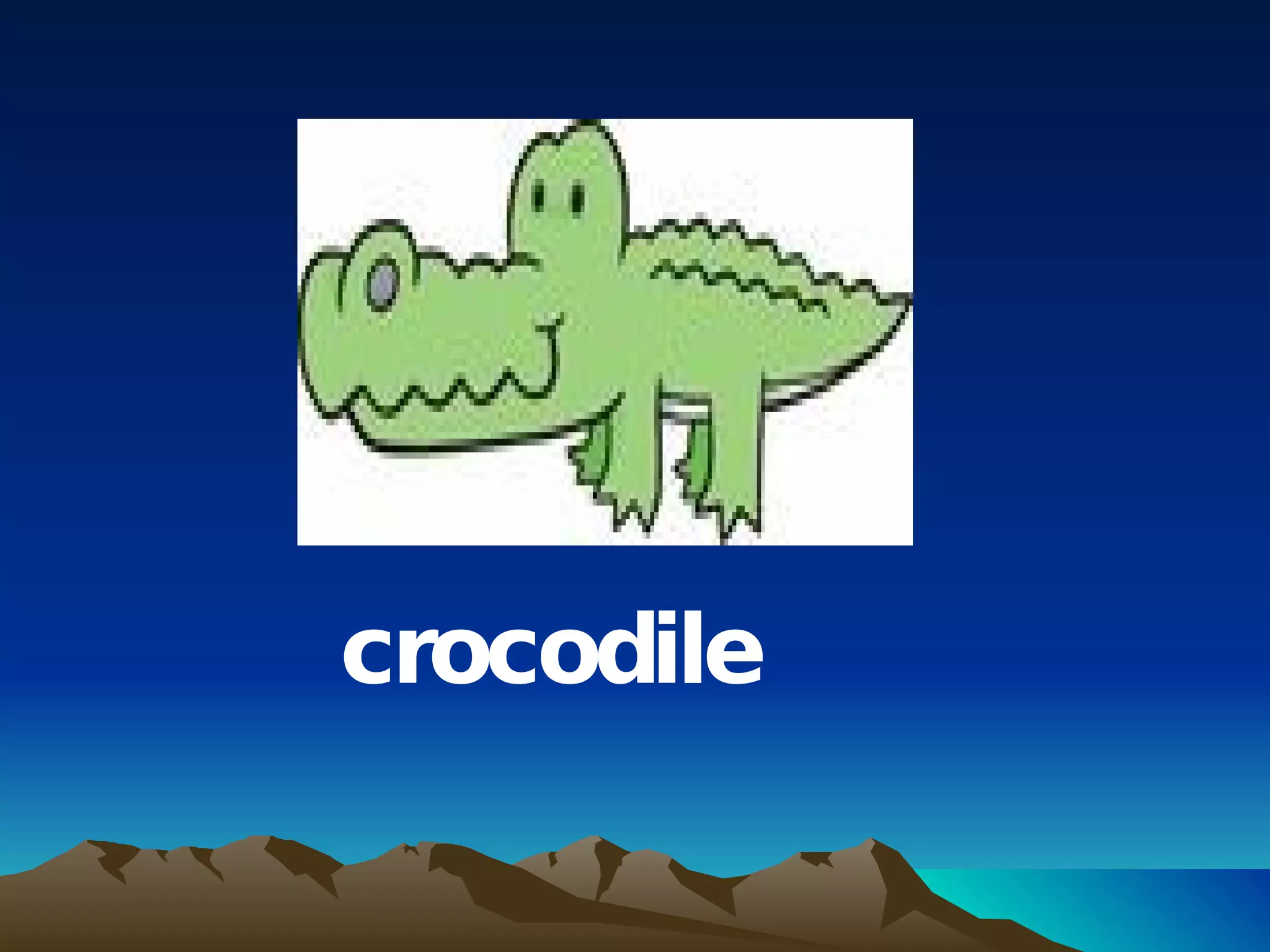 crocodile 