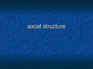 social structure 