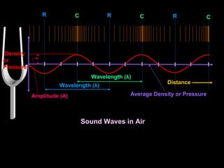 Sound Waves in Air
Wavelength (λ)
Wavelength (λ)
Distance
Density
or
Pressure
R C R C R C
Average Density or PressureAmplitude (A)
 