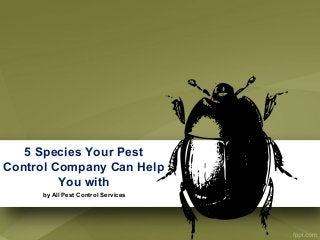 5 Species Your Pest
Control Company Can Help
You with
by All Pest Control Services
 