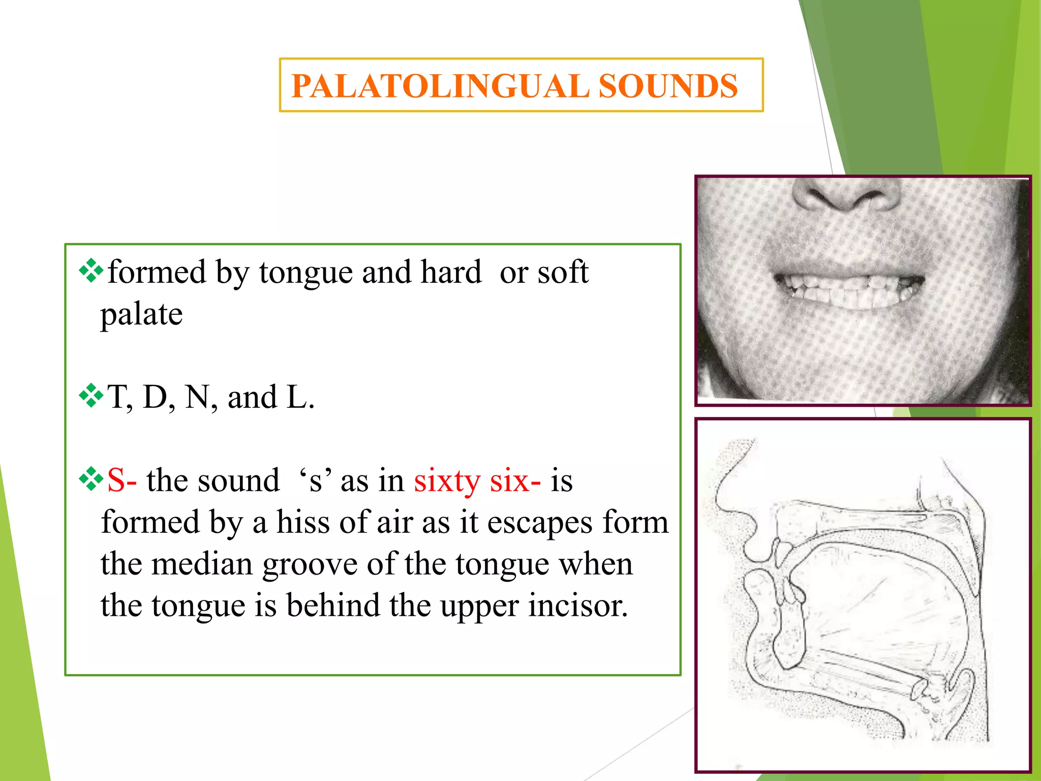 PALATOLINGUAL SOUNDS
formed by tongue and hard or soft
palate
T, D, N, and L.
S- the sound ‘s’ as in sixty six- is
formed by a hiss of air as it escapes form
the median groove of the tongue when
the tongue is behind the upper incisor.
 