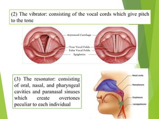 (2) The vibrator: consisting of the vocal cords which give pitch
to the tone
(3) The resonator: consisting
of oral, nasal, and pharyngeal
cavities and paranasal sinuses
which create overtones
peculiar to each individual
 