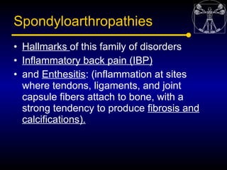 Spondyloarthropathies
• Hallmarks of this family of disorders
• Inflammatory back pain (IBP)
• and Enthesitis: (inflammati...