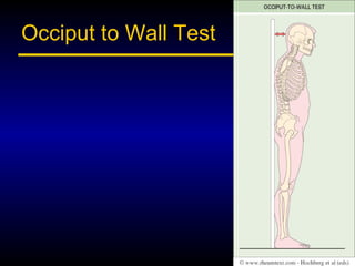 Occiput to Wall Test
 