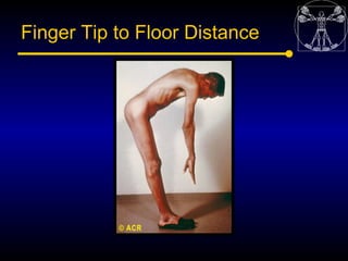 Finger Tip to Floor Distance
 