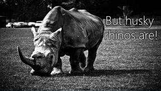 INTELLIGENT DATA SOLUTIONS WWW.PRAGMATICWORKS.COM5
But husky
rhinos are!
 
