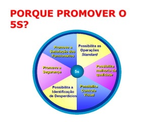 PORQUE PROMOVER O
5S?

 