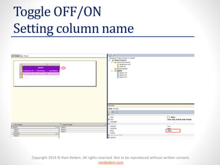 Copyright 2014 © Ram Kedem. All rights reserved. Not to be reproduced without written consent. ramkedem.com 
Toggle OFF/ON Setting column name  