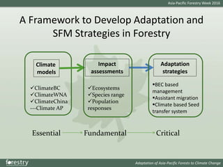 Issues and Solutions for SFM in a Changing Climate in the AP region
