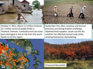 Issues and Solutions for SFM in a Changing Climate in the AP region