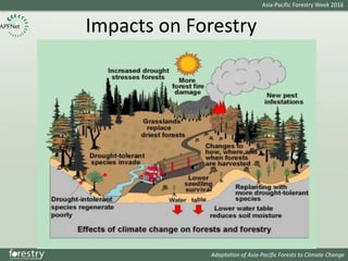 Issues and Solutions for SFM in a Changing Climate in the AP region