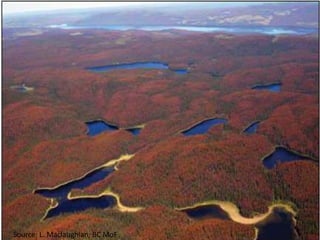 Issues and Solutions for SFM in a Changing Climate in the AP region