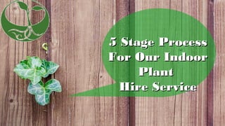 5 Stage Process5 Stage Process
For Our IndoorFor Our Indoor
PlantPlant
Hire ServiceHire Service
 