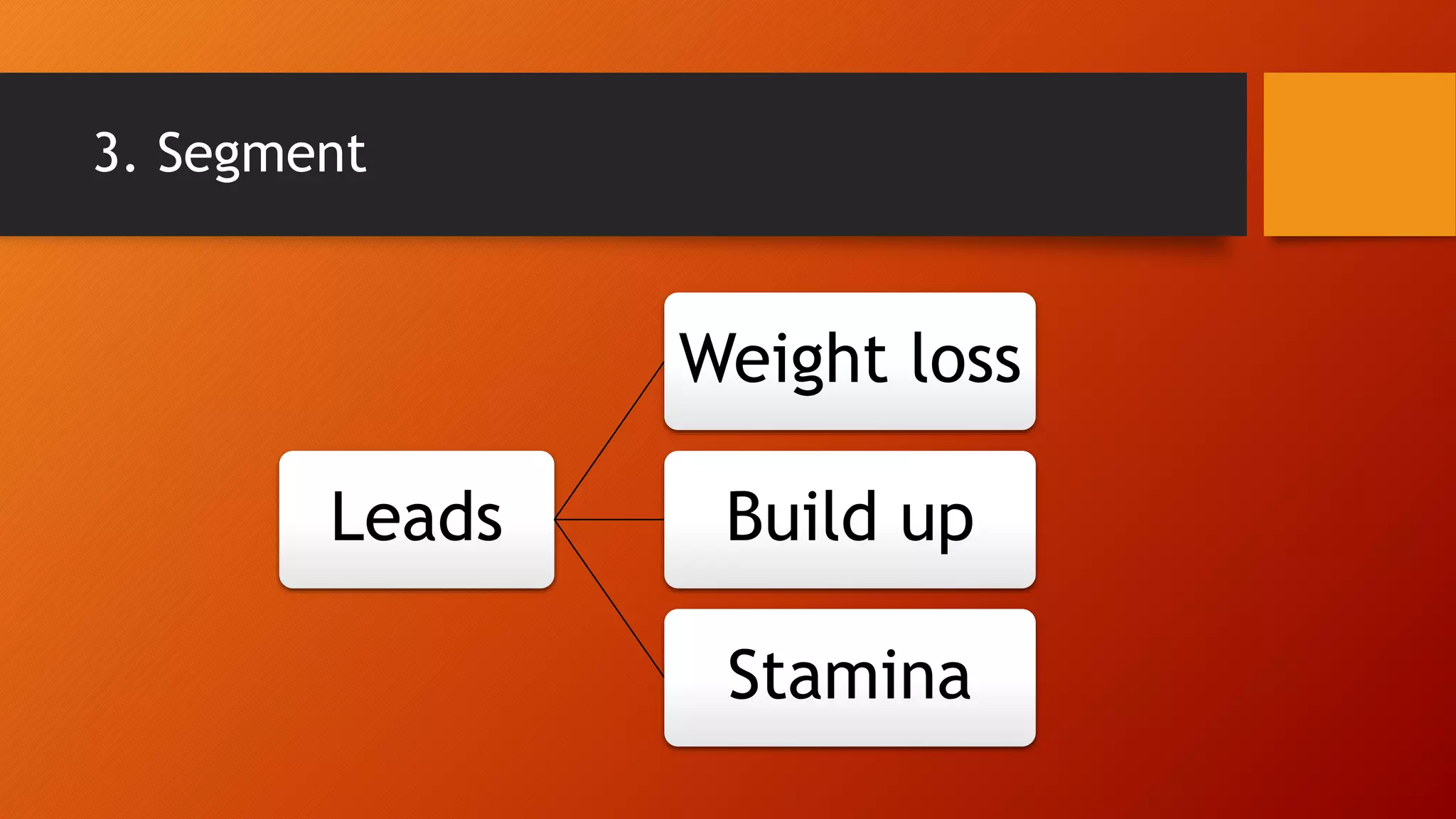 3. Segment
Leads
Weight loss
Build up
Stamina
 