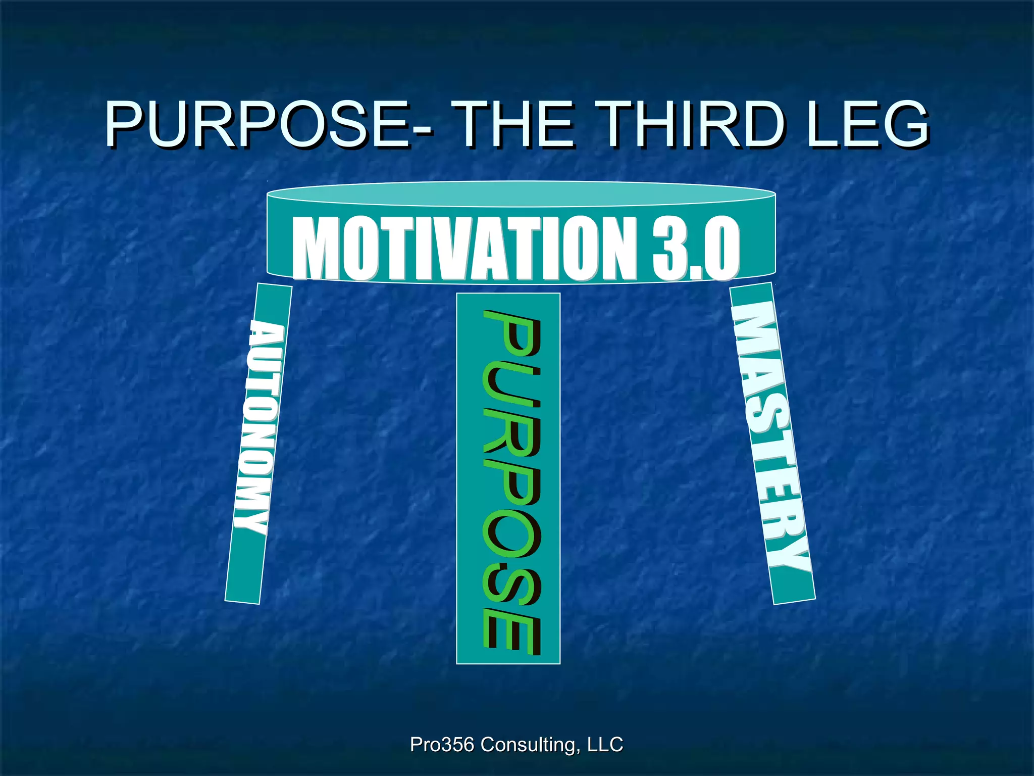 Pro356 Consulting, LLCPro356 Consulting, LLC
PURPOSE- THE THIRD LEGPURPOSE- THE THIRD LEG
 