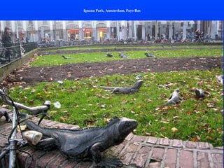 Iguana Park, Amsterdam, Pays-Bas
 