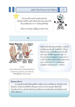 เล่มที่ 5 เรื่อง กิจกรรม STEM กับมือกล 15.
ในกิจกรรมนี้เราจะทาโปรเจคมือกลด้วยกัน
โดยใช้อุปกรณ์ที่กาหนดให้ เพื่อสร้างมือกลในการถือแก้วน้า
หยิบแผ่นซีดีและจับปากกา ด้วยต้นทุนที่ต่าที่สุด
ดังนั้นเรามาเรียนรู้ความรู้พื้นฐานก่อนดีกว่าครับ
มือ
จากภาพ
http://eorthopod.com/sites/default/files/
images/hand_anatomy_muscles01.jpg
สืบค้นเมื่อวันที่ 5 กันยายน 2559
มือมีโครงสร้างที่ละเอียดและซับซ้อน การเรียงตัว
ของข้อต่อและกล้ามเนื้อ โดยมีนิ้วมือ 5 นิ้วและ
ข้อต่อจานวนมาก มีเอ็นที่ยึดระหว่างกล้ามเนื้อ
และกระดูก เอ็นที่ยึดกระดูกและกระดูก การ
ทางานร่วมกับระบบประสาท ควบคุมการงอการ
กางนิ้ว ช่วยให้สามารถทางานได้อย่างหลากหลาย
เช่น การหยิบจับปากกา การกดรีโมทและ
แป้นพิมพ์ การจับและยกแก้ว การปีนเขา
มือและการทางาน
ความคล่องตัวของมือทาให้มนุษย์ใช้ทางานได้หลากหลาย แต่ก็เสี่ยงต่อการเกิดอันตรายกับ
มือเช่นกัน นักวิทยาศาสตร์จึงศึกษาสรีระและกายวิภาคการทางานของมือ เพื่อสร้างมือ
โรบอทในการทางาน เช่น มือกลหยิบจับอุปกรณ์ในโรงงานสารเคมีและมือกลจับวัสดุในโรงงานที่
เครื่องกลมีอันตราย
 