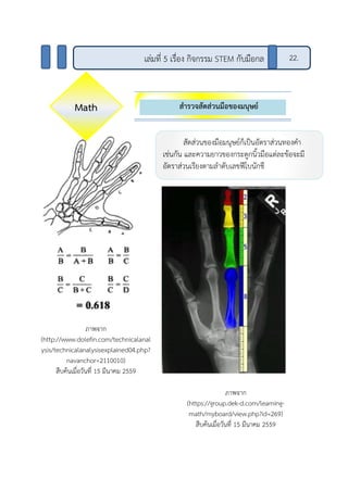 สารวจสัดส่วนมือของมนุษย์
เล่มที่ 5 เรื่อง กิจกรรม STEM กับมือกล 22.
Math
สัดส่วนของมือมนุษย์ก็เป็นอัตราส่วนทองคา
เช่นกัน และความยาวของกระดูกนิ้วมือแต่ละข้อจะมี
อัตราส่วนเรียงตามลาดับเลขฟีโบนักชี
ภาพจาก
(https://group.dek-d.com/learning-
math/myboard/view.php?id=269)
สืบค้นเมื่อวันที่ 15 มีนาคม 2559
ภาพจาก
(http://www.dolefin.com/technicalanal
ysis/technicalanalysisexplained04.php?
navanchor=2110010)
สืบค้นเมื่อวันที่ 15 มีนาคม 2559
 
