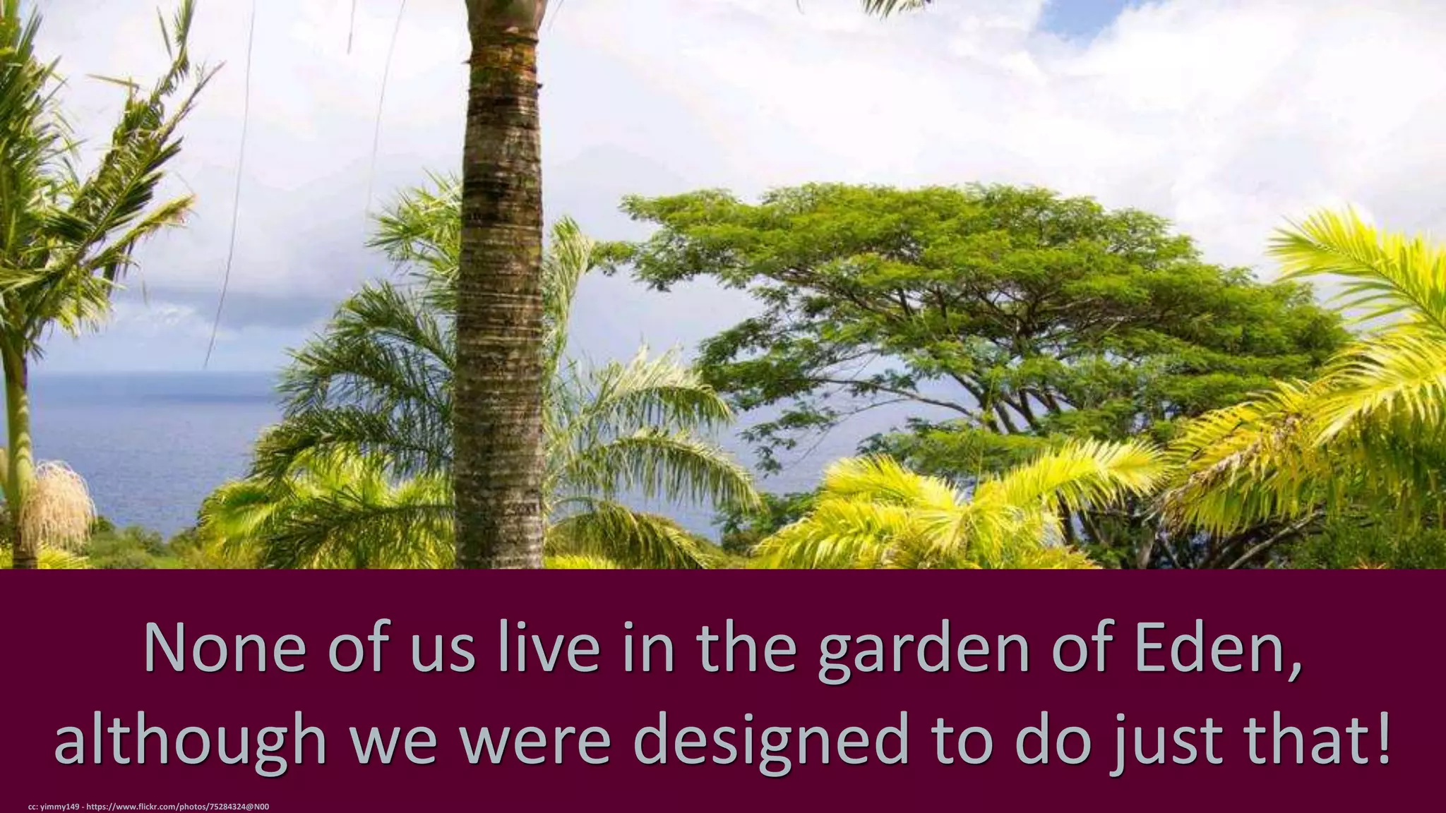 None of us live in the garden of Eden,
although we were designed to do just that!