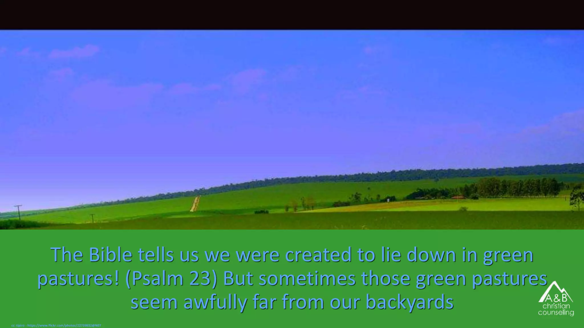 The Bible tells us we were created to lie down in green
pastures! (Psalm 23) But sometimes those green pastures
seem awfully far from our backyards