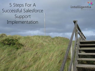 5 Steps For A Successful Salesforce Support Implementation  
