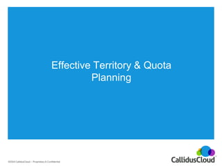 Effective Territory & Quota Planning  