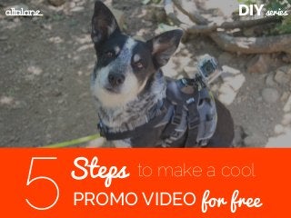 DIYseries
Steps
PROMO VIDEO5 to make a cool
for free
altalane
 