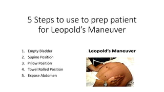 5 Steps to use to prep patient
for Leopold’s Maneuver
1. Empty Bladder
2. Supine Position
3. Pillow Position
4. Towel Rolled Position
5. Expose Abdomen
 